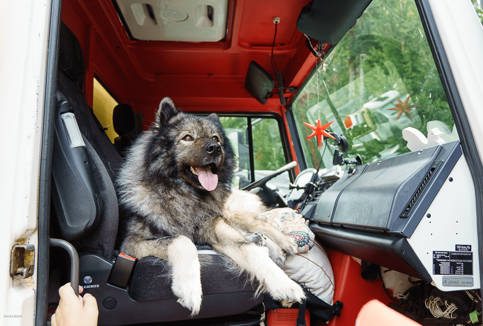Q´s Platz während der Fahrt